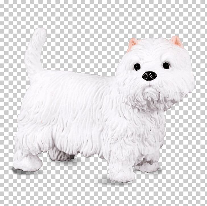 West Highland White Terrier Maltese Dog Yorkshire Terrier English White Terrier Scottish Terrier PNG, Clipart, Animal Figure, Animals, Carnivoran, Companion Dog, Dog Breed Free PNG Download