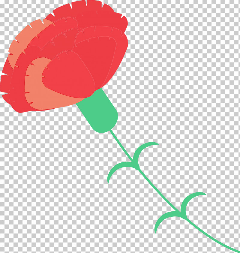 Plant Plant Stem Coquelicot Pedicel Flower PNG, Clipart, Coquelicot, Flower, Mothers Day Carnation, Mothers Day Flower, Paint Free PNG Download