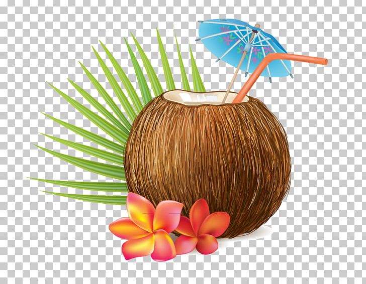 Coconut Water Coconut Milk PNG, Clipart, Arecaceae, Coconut, Coconut Milk, Coconut Oil, Coconut Water Free PNG Download