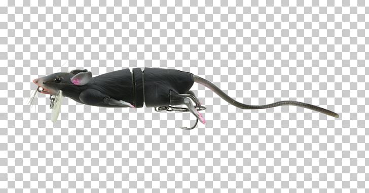 Rat Swimbait Reptile Topwater Fishing Lure Alabama PNG, Clipart, Alabama, Animal Figure, Animals, Bait, Carnivora Free PNG Download