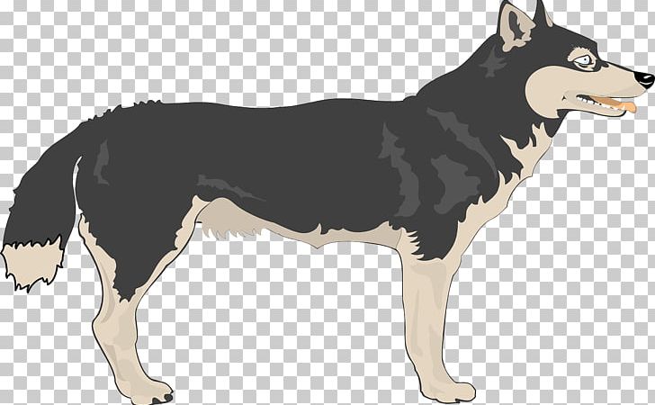 Siberian Husky Alaskan Malamute Puppy PNG, Clipart, Animal, Animals, Black, Black Hair, Black White Free PNG Download