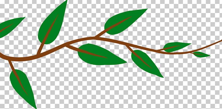 Vine PNG, Clipart, Branch, Clip Art, Document, Drawing, Flora Free PNG Download