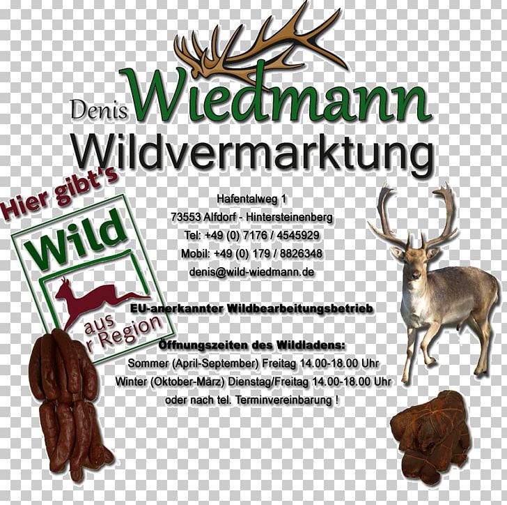 Reindeer Antler Denis Wiedmann Wildvermarktung Font Tree PNG, Clipart, Antler, Cartoon, Deer, Organism, Reindeer Free PNG Download