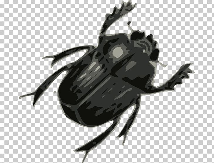 Beetle Ladybird PNG, Clipart, Arthropod, Beatles Cliparts, Beetle, Clipping Path, Display Resolution Free PNG Download