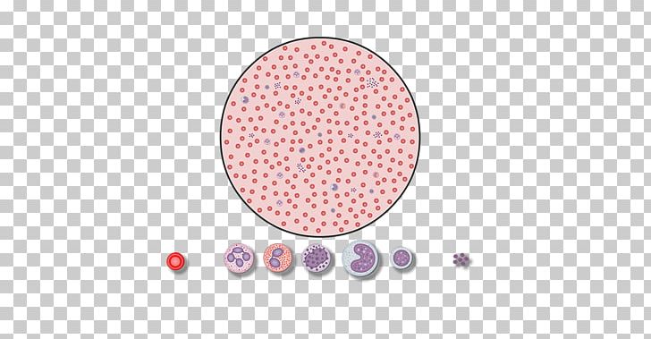 Carpet Red Blood Cell Tufting Bedroom PNG, Clipart, Bedroom, Blood, Blood Cell, Blood Cells, Carpet Free PNG Download