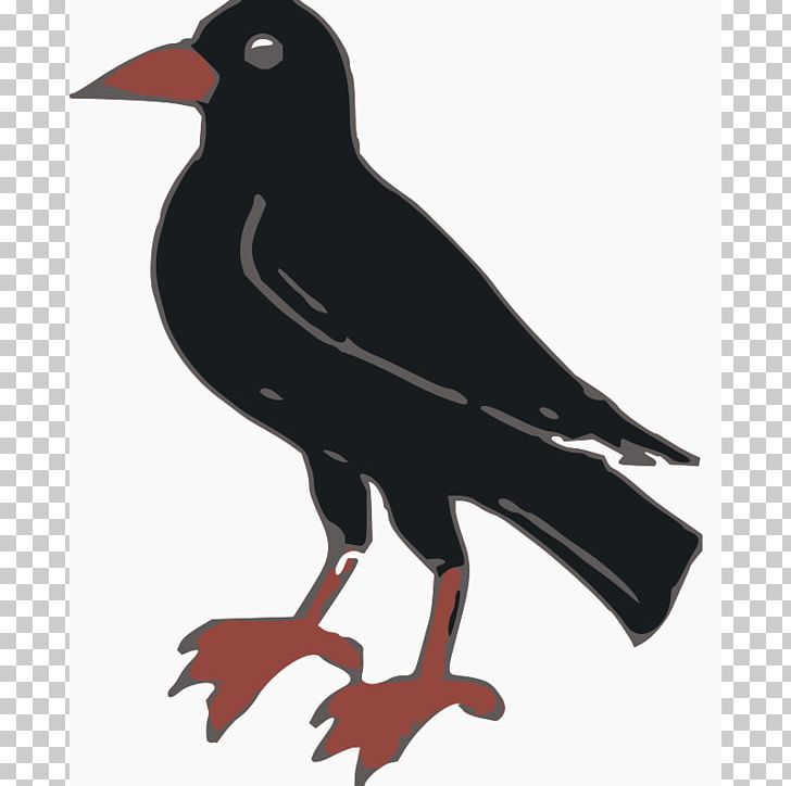 Crows PNG, Clipart, Animals, Beak, Bird, Computer Icons, Crow Free PNG Download
