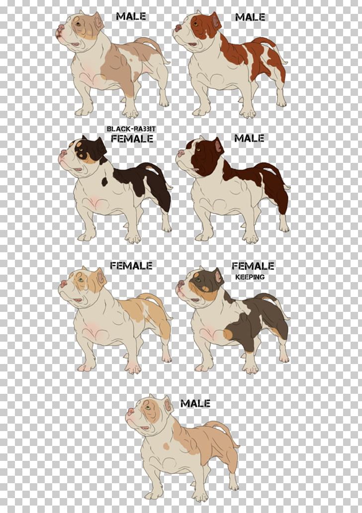 Dog Breed Companion Dog Non-sporting Group Puppy PNG, Clipart, Animal, Animal Figure, Breed, Carnivoran, Companion Dog Free PNG Download