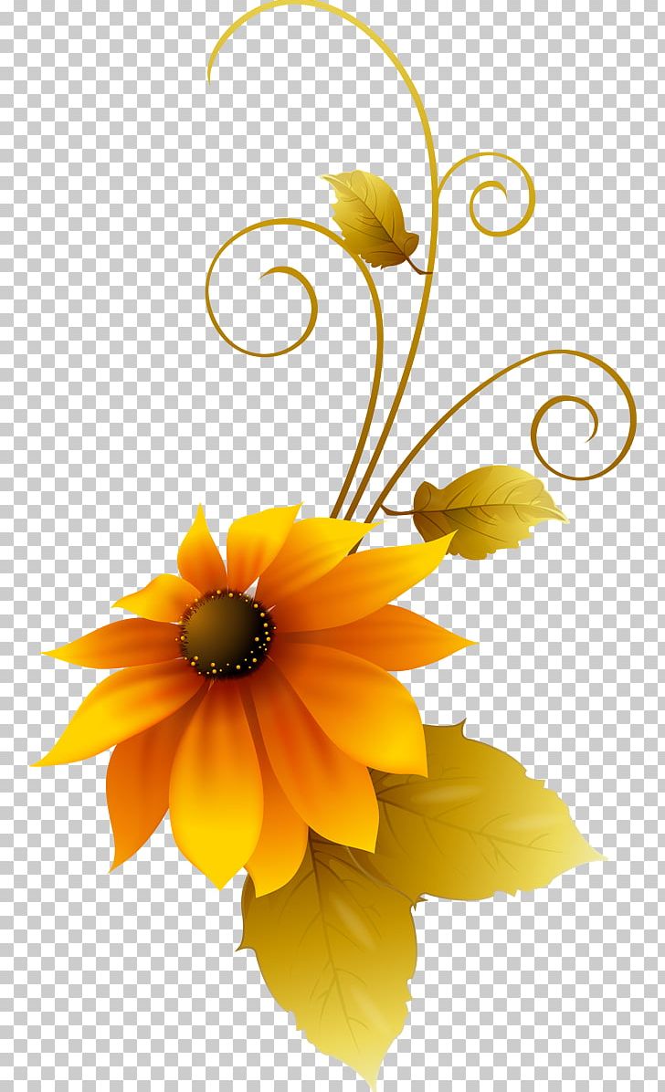 Common Sunflower Adobe Photoshop Design Graphics PNG, Clipart, Art, Brush, Calendula, Common Sunflower, Computer Software Free PNG Download