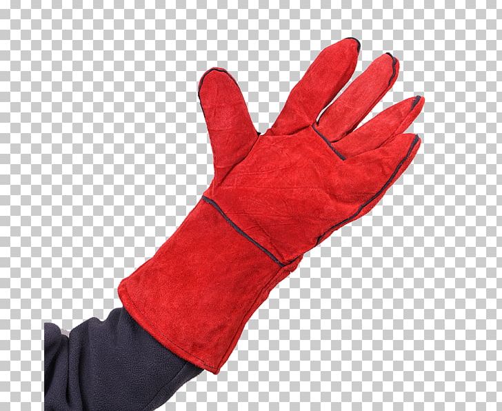 Pet Dog Grooming Glove Fashion Finger PNG, Clipart, Consciousness, Creativity, Dog Grooming, Fashion, Finger Free PNG Download