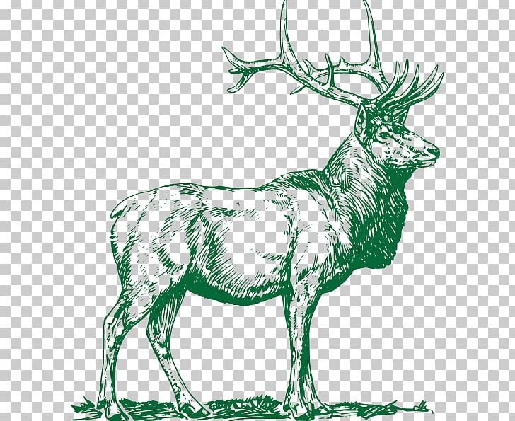 Reindeer Elk Moose PNG, Clipart, Animal, Animals, Antler, Art, Black And White Free PNG Download