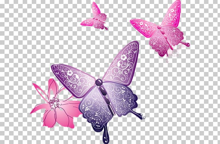 Butterfly PNG, Clipart, Butterfly, Clip Art, Computer Icons, Document, Download Free PNG Download