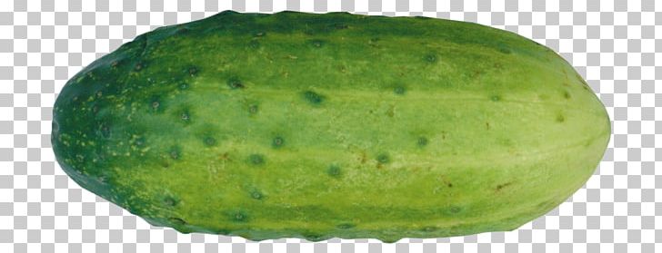 Cucumber PNG, Clipart, Cucumber Free PNG Download