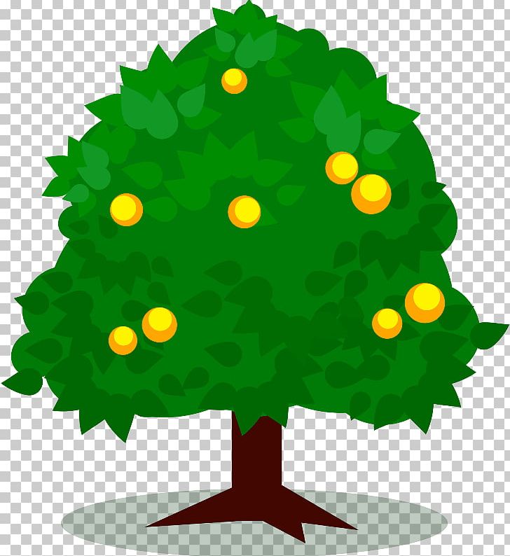 Fruit Tree PNG, Clipart, Branch, Christmas Decoration, Christmas Ornament, Christmas Tree, Conifer Free PNG Download