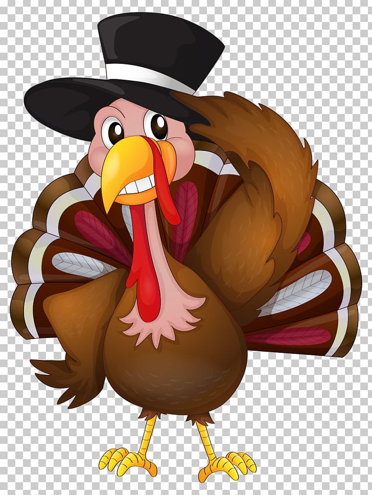 Turkey Meat Thanksgiving PNG, Clipart, Beak, Bird, Cartoon, Chicken, Food Drinks Free PNG Download