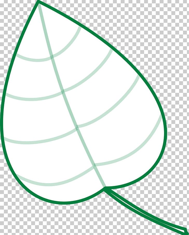 Leaf Angle PNG, Clipart, Angle, Area, Circle, Jungle, Leaf Free PNG Download
