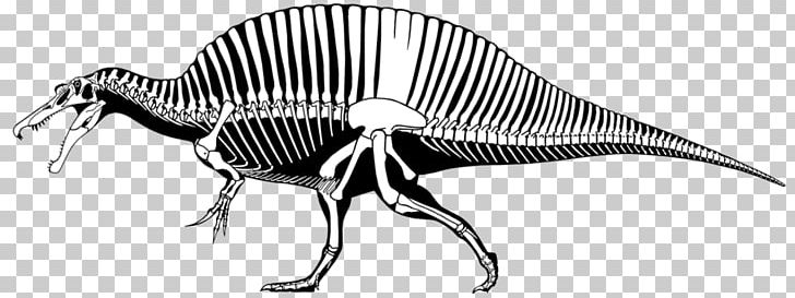 Spinosaurus Suchomimus Irritator Tyrannosaurus Ichthyovenator PNG, Clipart, Animal Figure, Baryonyx, Beak, Black And White, Carnivore Free PNG Download