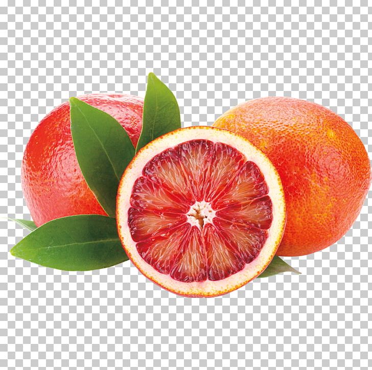 Blood Orange Orange Juice Grapefruit PNG, Clipart, Bitter Orange, Citric Acid, Citrus, Clementine, Diet Food Free PNG Download