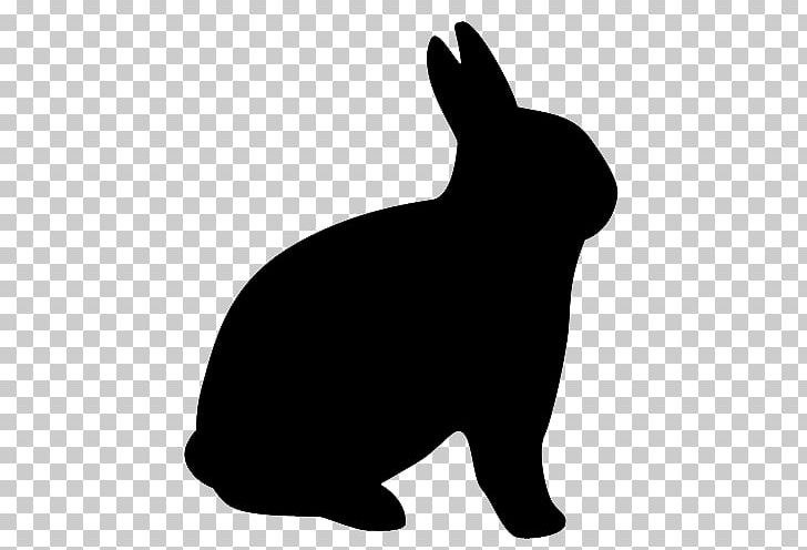 Hare Domestic Rabbit Chinchilla PNG, Clipart, Animals, Black, Carnivoran, Chinchilla, Computer Icons Free PNG Download