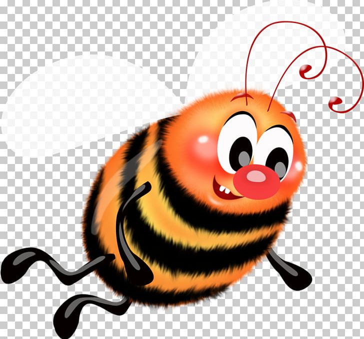 Ladybird Beetle Insect Western Honey Bee Bumblebee PNG, Clipart, Animal, Bee, Bumblebee, Butterfly, Drawing Free PNG Download