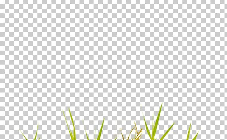 Area Pattern PNG, Clipart, Angle, Area, Background Green, Creative Background, Grass Free PNG Download