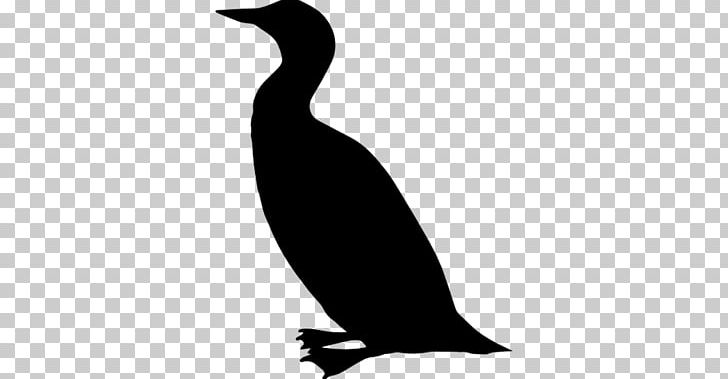 Duck Silhouette Bird PNG, Clipart, Animal, Animals, Beak, Bird, Black Free PNG Download