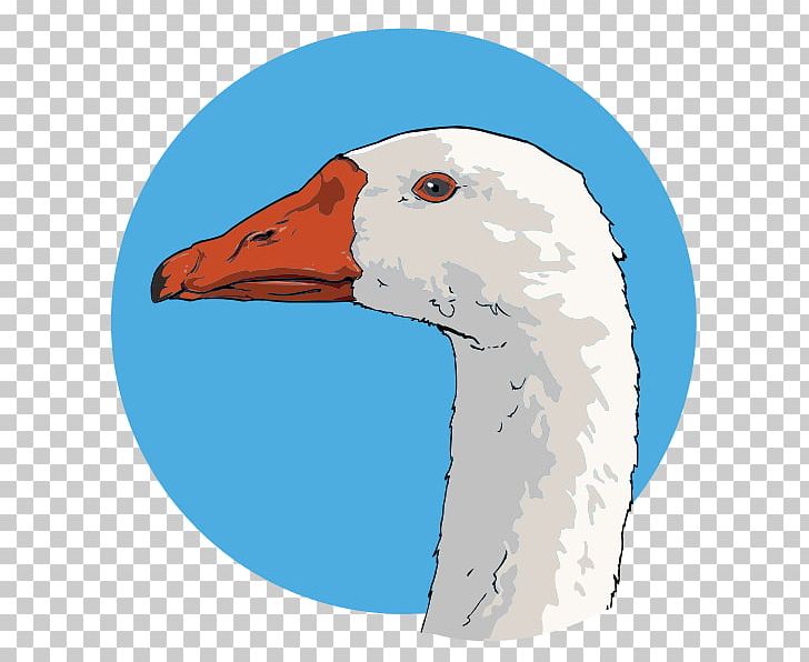 Goose Computer Icons PNG, Clipart, Animals, Art, Beak, Bird, Canada Goose Free PNG Download