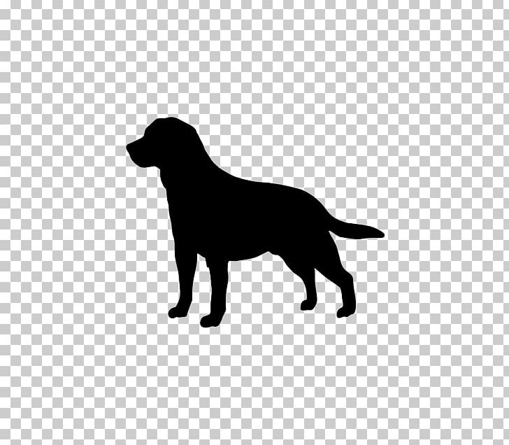Labrador Retriever Golden Retriever Beagle PNG, Clipart, Animals, Beagle, Black, Black And White, Breed Free PNG Download