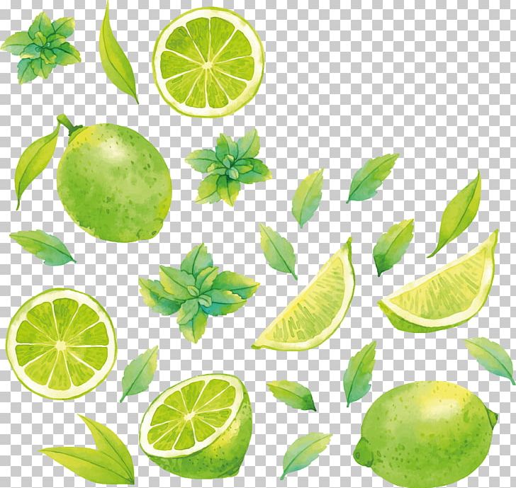 Lemon-lime Drink Key Lime Food PNG, Clipart, Advertising, Citric Acid, Citron, Citrus, Food Free PNG Download