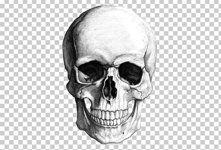 Skull PNG, Clipart, Bone, Border Sketch, Cartoon, Encapsulated Postscript, Face Free PNG Download