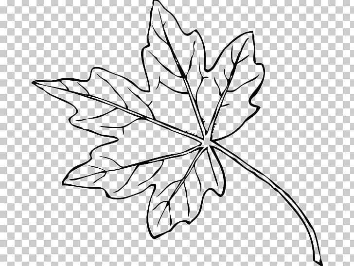 Autumn Leaf Color Autumn Leaf Color PNG, Clipart, Acorn Watercolor, Artwork, Autumn, Autumn Leaf Color, Black And White Free PNG Download