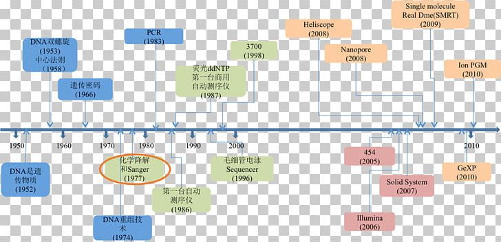 DNA Sequencing Sanger Sequencing Whole Genome Sequencing PNG, Clipart, Angle, Bioinformatics, Diagram, Dna, Dna Sequencing Free PNG Download