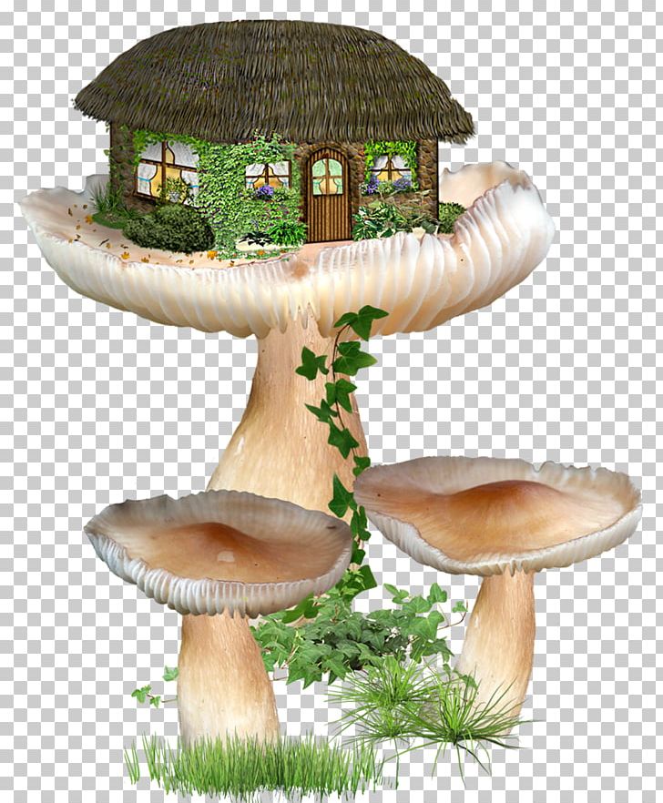 Fairy Encapsulated PostScript PNG, Clipart, Art, Clip Art, Edible Mushroom, Elf, Encapsulated Postscript Free PNG Download