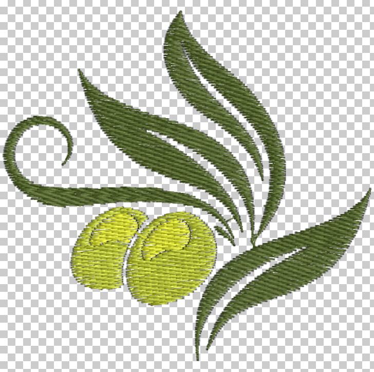 Olive Oil Mediterranean Cuisine Graphics Greek Cuisine PNG, Clipart, Branch, Drawing, Food, Food Drinks, Fruit Free PNG Download