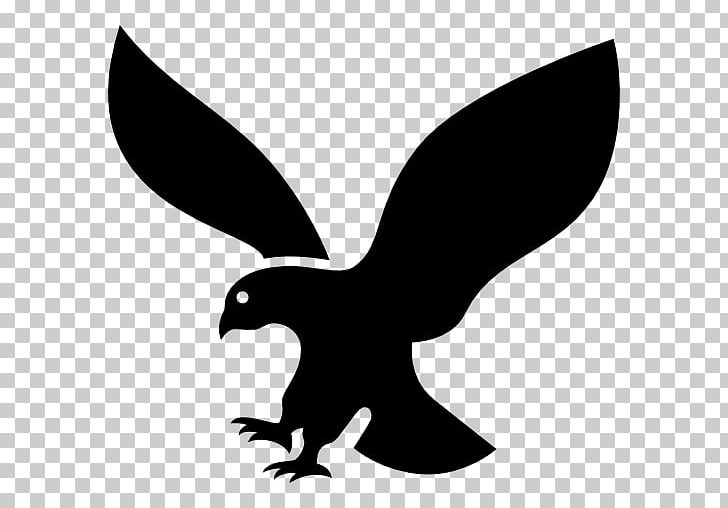 Computer Icons Drawing PNG, Clipart, Beak, Bird, Bird Of Prey, Black And White, Computer Free PNG Download