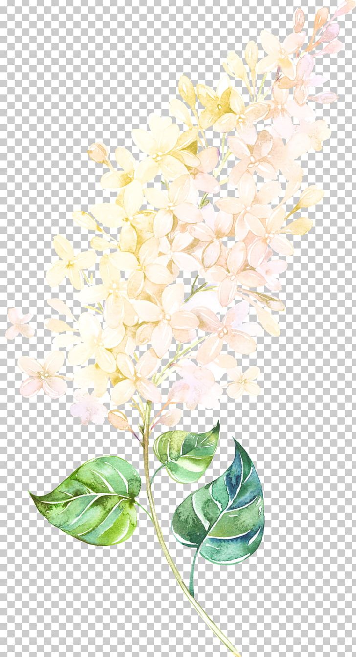 Floral Design Petal Watercolor Painting Lilac PNG, Clipart, Branch, Cut Flowers, Flora, Floristry, Flower Arranging Free PNG Download