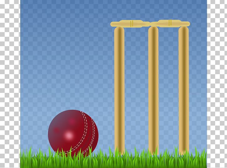 India National Cricket Team Australia National Cricket Team Wicket PNG, Clipart, Athletics Field, Australia National Cricket Team, Ball, Batting, Computer Wallpaper Free PNG Download