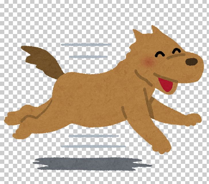 Italian Greyhound Puppy Veterinarian Dog Food PNG, Clipart, Animals, Art, Carnivoran, Cartoon, Cat Like Mammal Free PNG Download