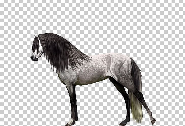 Mustang Stallion Mare Rein Halter PNG, Clipart, Black And White, Bridle, Halter, Horse, Horse Like Mammal Free PNG Download