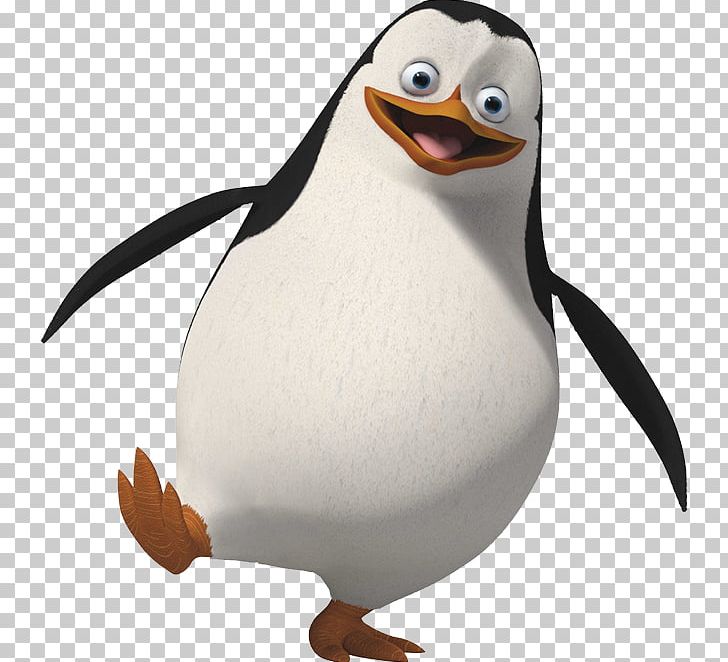 Penguin Madagascar Animation Film PNG, Clipart, Anim, Animation, Beak, Bird, Computer Icons Free PNG Download