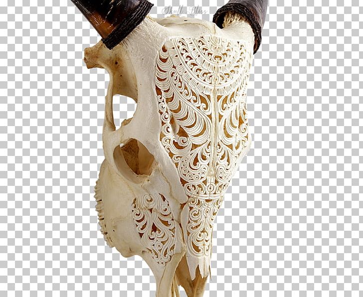 Skull XL Horns Forehead Animal PNG, Clipart, Animal, Artifact, Balinese People, Bone, Cattle Free PNG Download