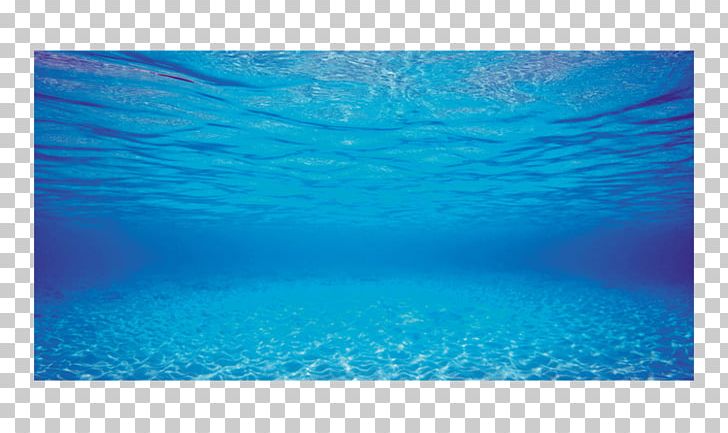Aquarium Aquascaping Fish Pet VetMedsDirect PNG, Clipart, Akvariebutikken, Aqua, Aquarium, Aquascaping, Azure Free PNG Download