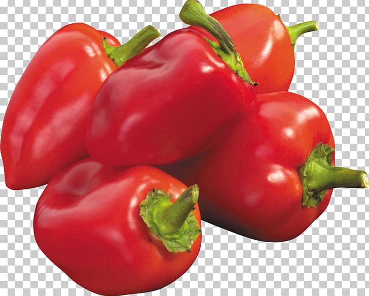 Bell Pepper Chili Pepper Piquillo Pepper Vegetable PNG, Clipart, Bell Pepper, Birds Eye Chili, Cayenne Pepper, Chili Pepper, Crushed Red Pepper Free PNG Download
