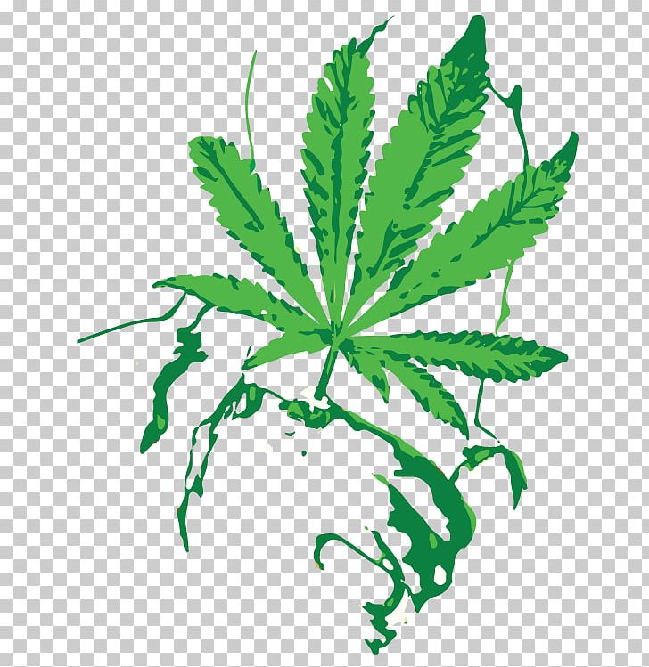 Cannabis Shop Hash Oil Marijuana Cannabis Sativa PNG, Clipart,  Free PNG Download