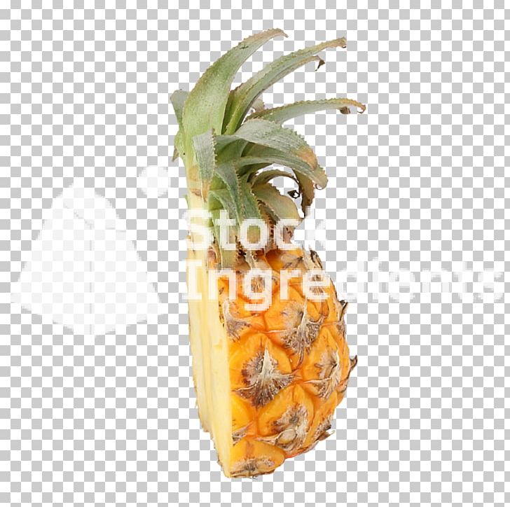 Pineapple Bromeliads Food Plant PNG, Clipart, Ananas, Bromeliaceae, Bromeliads, Flowerpot, Food Free PNG Download
