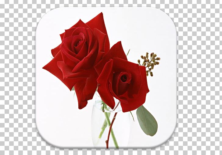 Rose Portable Network Graphics Flower Bouquet PNG, Clipart, Blue Rose, Cut Flowers, Data, Desktop Wallpaper, Download Free PNG Download