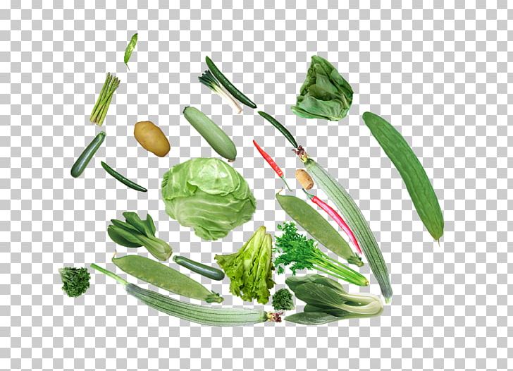 Spinach Vegetable Chard Spring Greens PNG, Clipart, Cabbage, Capsicum Annuum, Cartoon, Chard, Chili Free PNG Download
