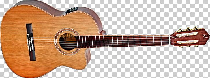 Takamine Guitars Classical Guitar Acoustic Guitar Musical Instruments PNG, Clipart, Acoustic Electric Guitar, Classical Guitar, Cuatro, Cutaway, Guitar Accessory Free PNG Download