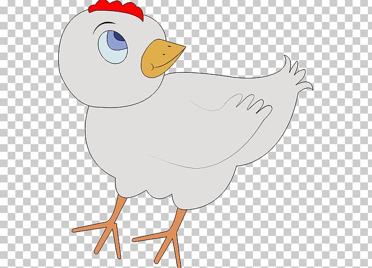 Chicken As Food Galliformes Poultry PNG, Clipart, Animal Figure, Animals, Artwork, Beak, Bird Free PNG Download