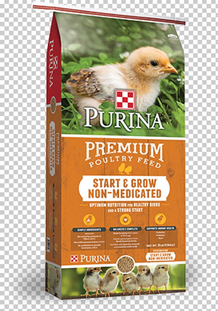 Chicken Poultry Feed Duck Nutrition PNG, Clipart, Advertising, Animals, Bird Food, Cereal, Chicken Free PNG Download