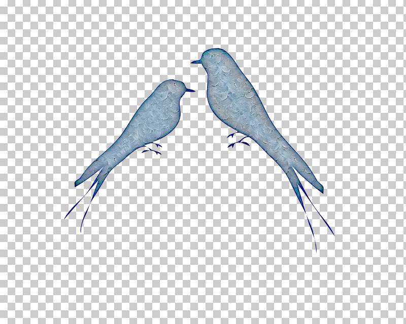 Feather PNG, Clipart, Beak, Bird, Bluebird, Feather, Indigo Bunting Free PNG Download